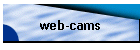 web-cams